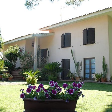 B&B Fra E Fe Arborea Dış mekan fotoğraf