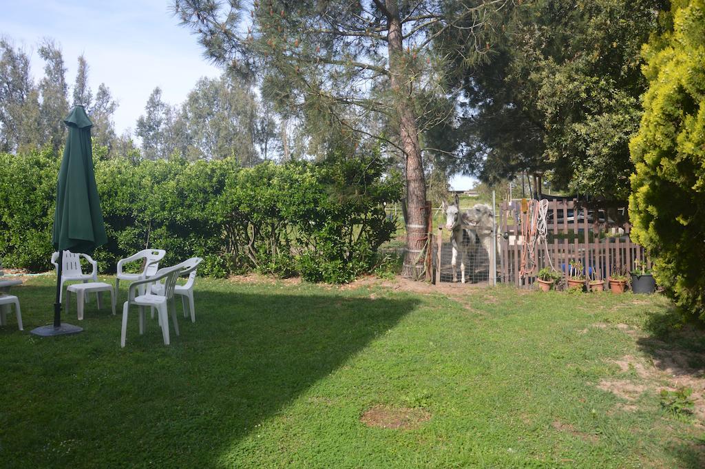 B&B Fra E Fe Arborea Dış mekan fotoğraf